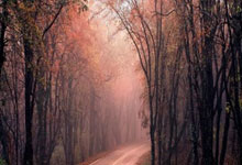 2025奥曦济南气排球联赛开幕，老中青队员尽享健康和快乐.