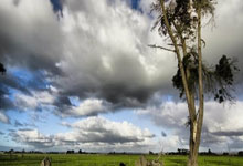 ayx爱游戏体育：18岁，恩瓦内里是本赛季参与进球上双第二年轻的五大联赛球员.