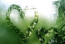 ayx爱游戏体育：2-0夺冠后！19岁天才创2纪录，ATP排名：门希克第24，小德回前5.