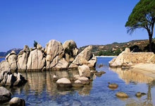 ayx爱游戏体育：11中9得到22分！吉莱斯皮：没太关注转正 努力赢下尽可能多的比赛.